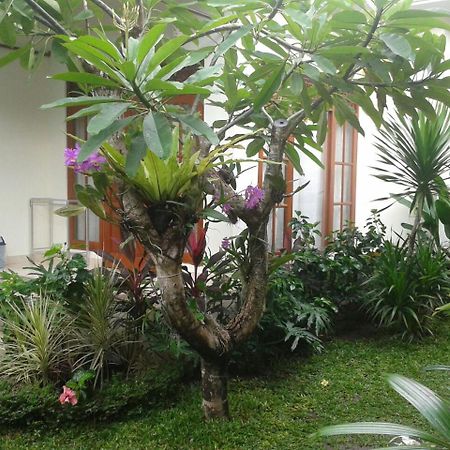 Jepun Bali Homestay Sanur Εξωτερικό φωτογραφία